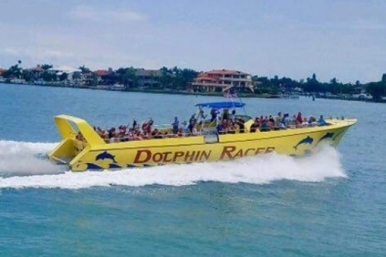 dolphin cruises st pete