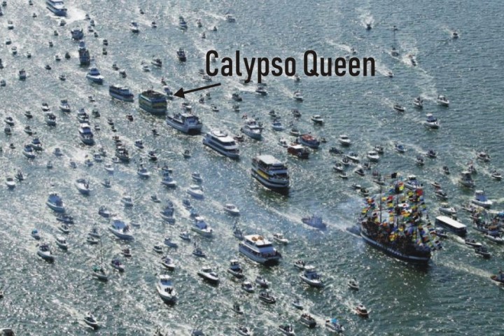 a flock of birds sitting on top of a body of water