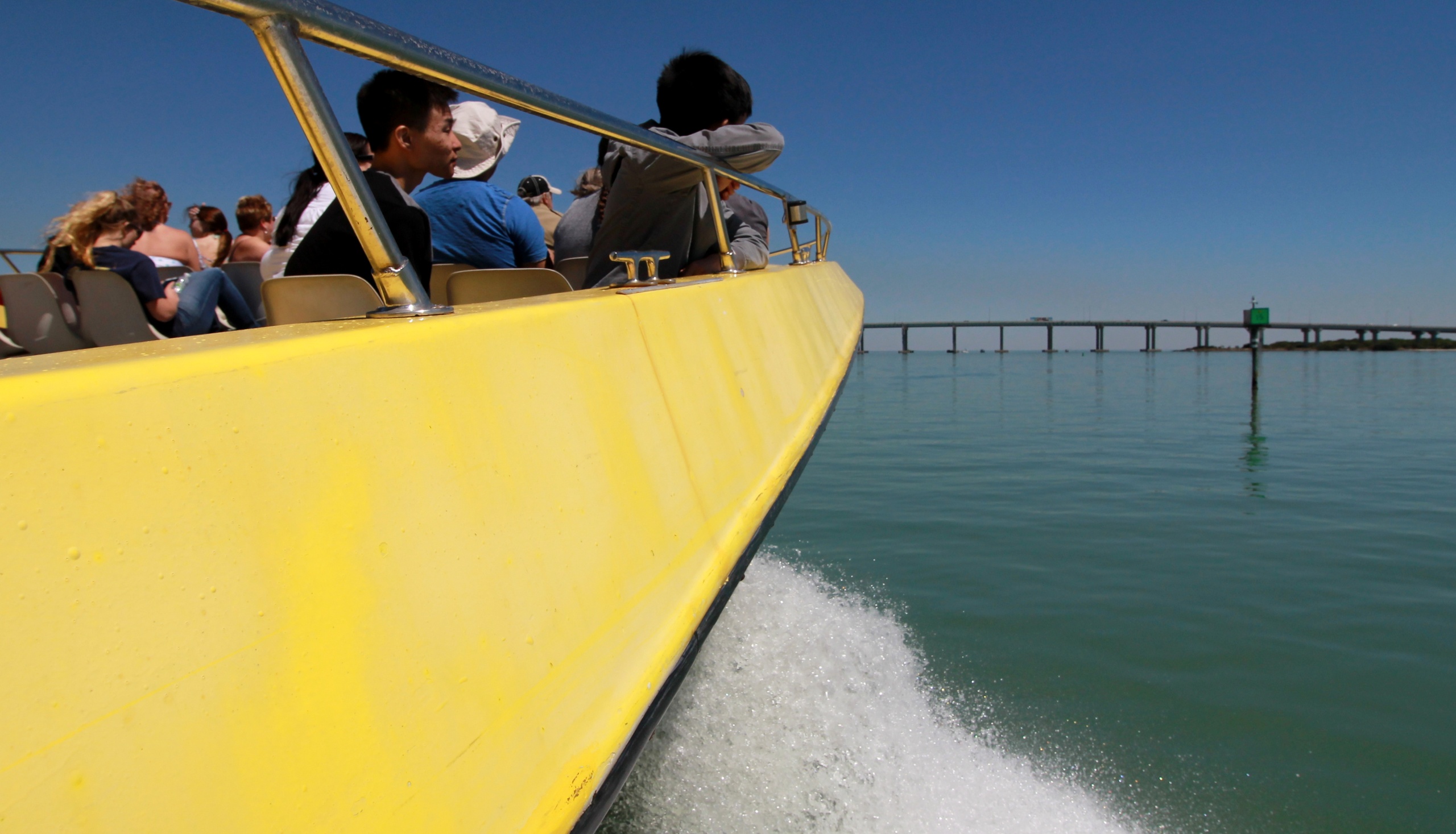 Dolphin Racer Adventure | Starlite Cruises