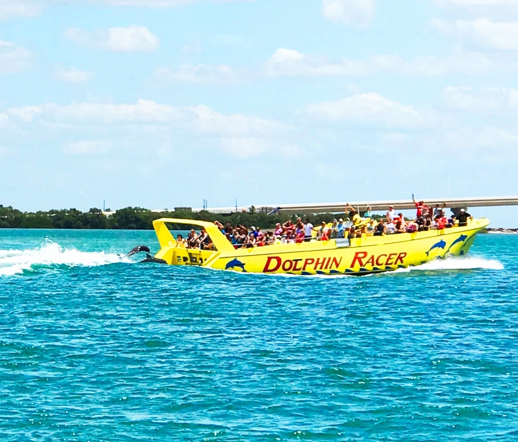 Dolphin Racer Adventure | Starlite Cruises