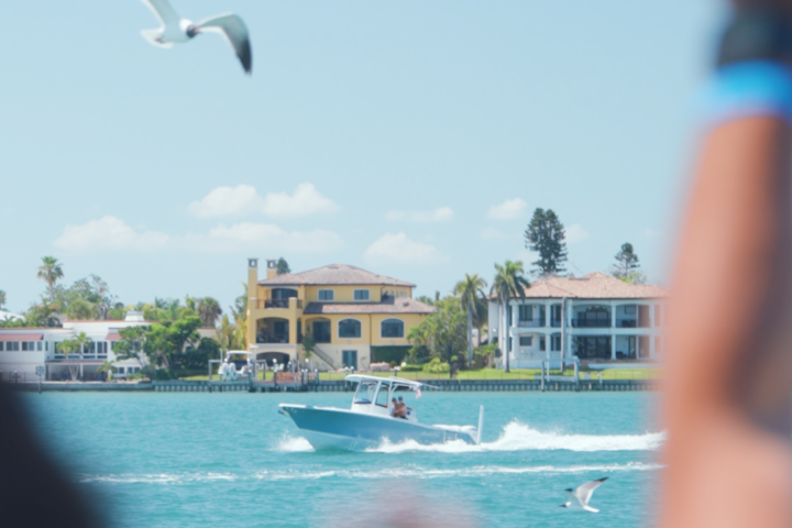 Speedboat on water with birds flying, houses and trees in background.