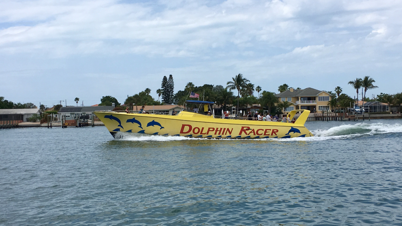 Dolphin Racer | Starlite Cruises