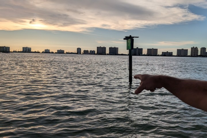 Person pointing across a body of water toward a city skyline at sunset.